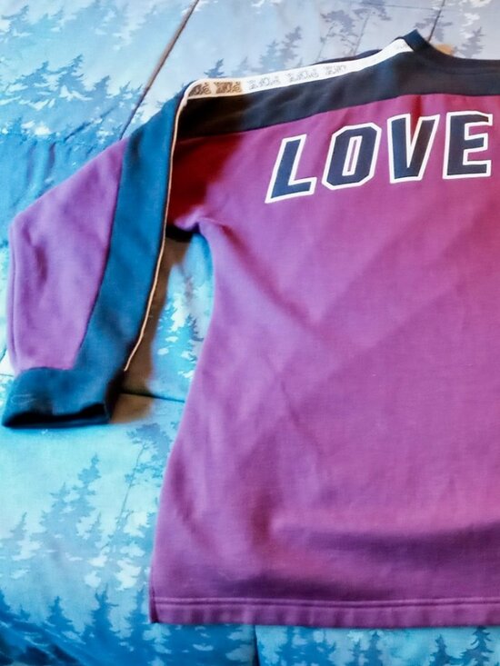 PINK Sweatshirt Women's L Victoria's Secret Dog V-Neck Pullover Long Sleeve - Picture 4 of 14